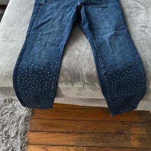 Lane Bryant Blue Studded Women Jeans